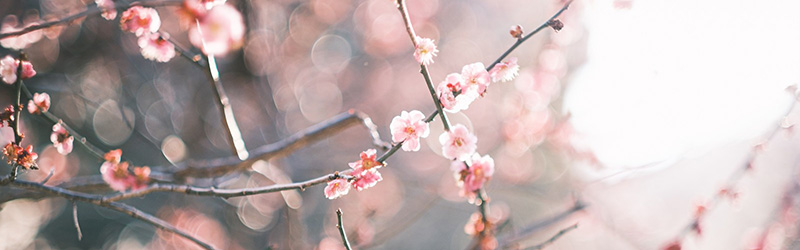 紫外線に要注意!3月から始める日焼け対策